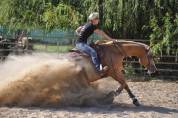 CB SHINY GUN Poulain male Quarter Horse Reining 2021