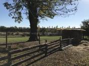 Bella dimora equestre In vendita Dordogne
