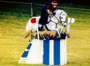 LAPSUS DE L'OCQ - New Forest 1999 ,  WILLOWAY GOOD AS GOLD (GB)