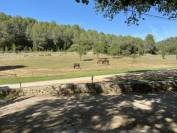 Equestrian Bed and Breakfast  Var