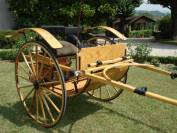 Carriage - Gig - Other brand - MEADOWBROOK CART 