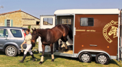 Horse trailer Fautras Provan 2 Stalls 2022 New