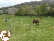 Paarden accommodatie Koop Drôme