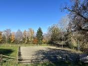 Equestrian farm  Fribourg