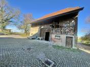 Azienda equestre In vendita Fribourg