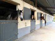 Proprietà equestre In vendita Haute-Garonne