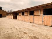 Les Ecurie K | Horse trading > Horse dealers