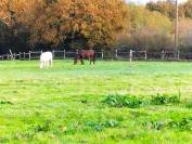 Equestrian property  Landes