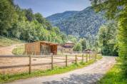 Luxurious equestrian property  Haute-Savoie
