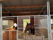 Equestrian property  Marne