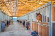 Centro di stagione cavallo In vendita Isère