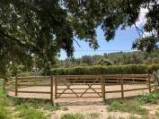 Equestrian property  Bouches-du-Rhône