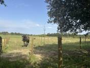 Equestrian property  Bouches-du-Rhône