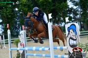 Hongre Autre Race de Poney A vendre 2014 Alezan