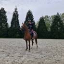 Top Poney dressage 