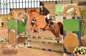 Jument Autre Race de Poney A vendre 2012 Alezan