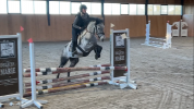 Poney D 6 ans 