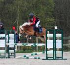 HAFLINGER 8 ANS