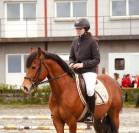 Poney d’avenir 