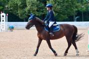 Jument Poney de Selle Anglais A vendre 2012 Alezan