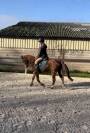 Ponette pp PFS 