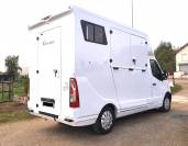 Renault Master - transport chevaux