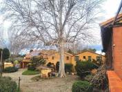 Ander plattelands vastgoed Koop Pyrénées-Orientales