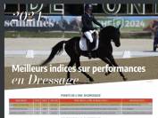 Meilleur poney français de sa génération! 