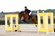 Poney de sport - 5 ans 