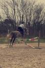 Poney sport 