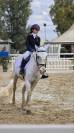 Hongre Garrano A vendre 2005 Gris