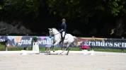 Jument Connemara 7 ans 