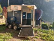 Rimorchio per cavalli Ifor-Williams HB 505