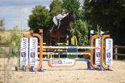 Hongre AA de 7ans pour CSO