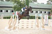 Hongre AA de 7ans pour CSO