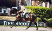 Hongre AA de 7ans pour CSO