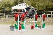 Cheval de sport