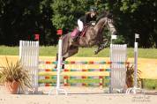 Cheval de sport