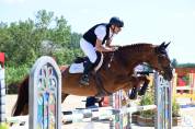 Jument Z - 15 ans - 1m70 –  CSO / loisir / poulinière