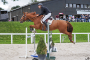 Jument Z - 15 ans - 1m70 –  CSO / loisir / poulinière