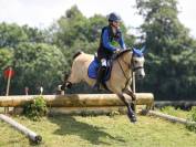 Poney Pouliche Welsh B