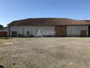 Schapen exploitatie Koop Charente