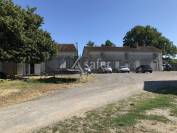 Schapen exploitatie Koop Charente