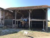 Schapen exploitatie Koop Charente