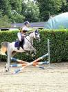 Poney pure sang Arabe, passeport pucé et vacciné