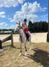 Poney pure sang Arabe, passeport pucé et vacciné