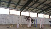 Hongre de 3 ans Par Helios d'helby gros potentiel