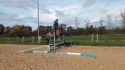 Hongre de 3 ans Par Helios d'helby gros potentiel