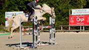 Cavalla Cavallo da Sport Irlandese In vendita 2018 Palomino ,  Tullabeg Fusion