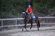 demi pension Cheval